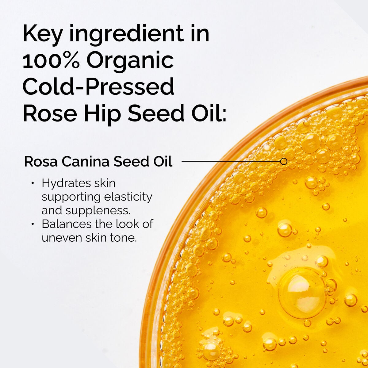 100-organic-cold-pressed-rose-hip-seed-oil-a7 FY25-D41247-ORD-Web-PDP-100-Rose-Hip-Oil-1x1-EN-2.jpg
