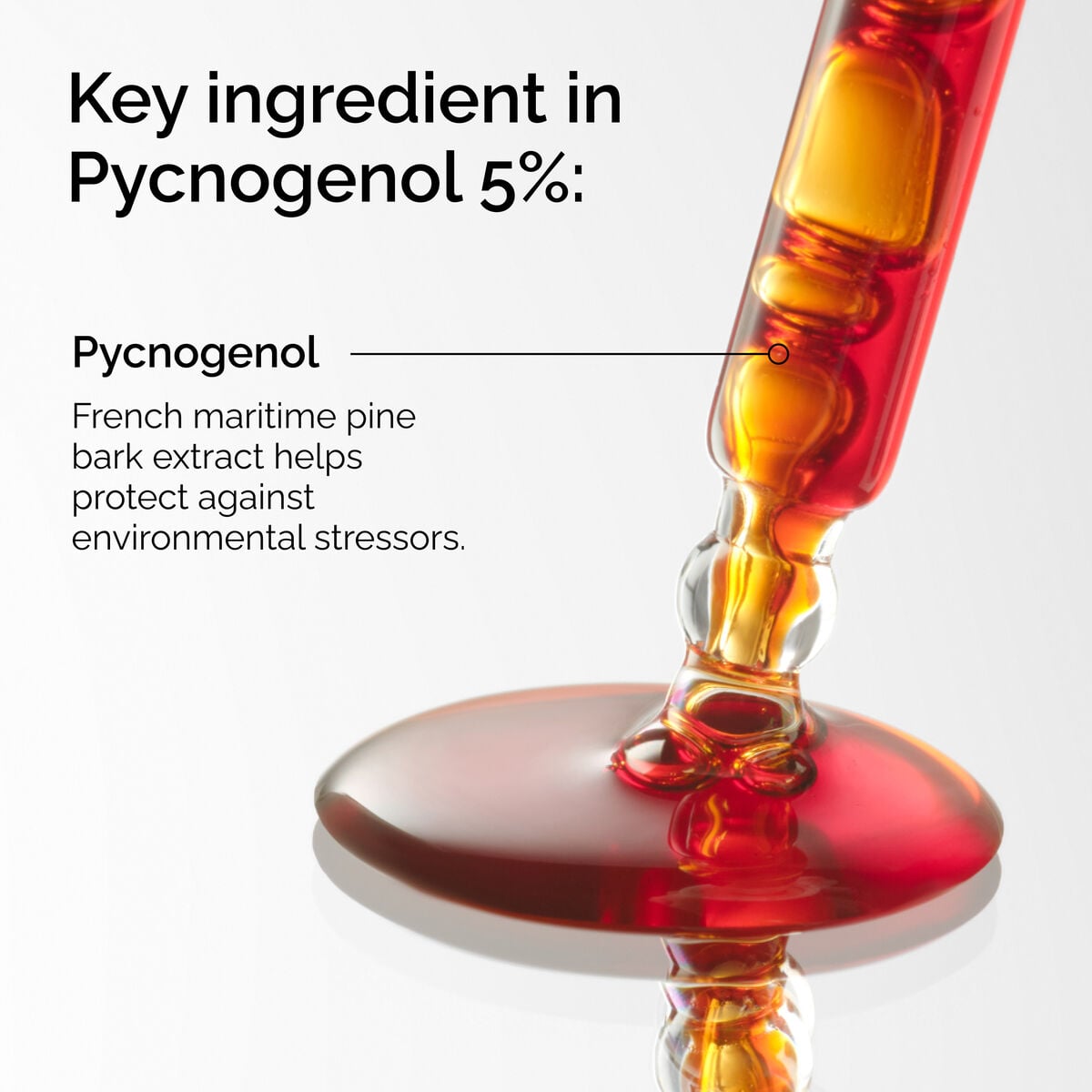 pycnogenol-5-h1 FY25-D41247-ORD-Web-PDP-Pyc-5pct-1x1-EN-2a.jpg