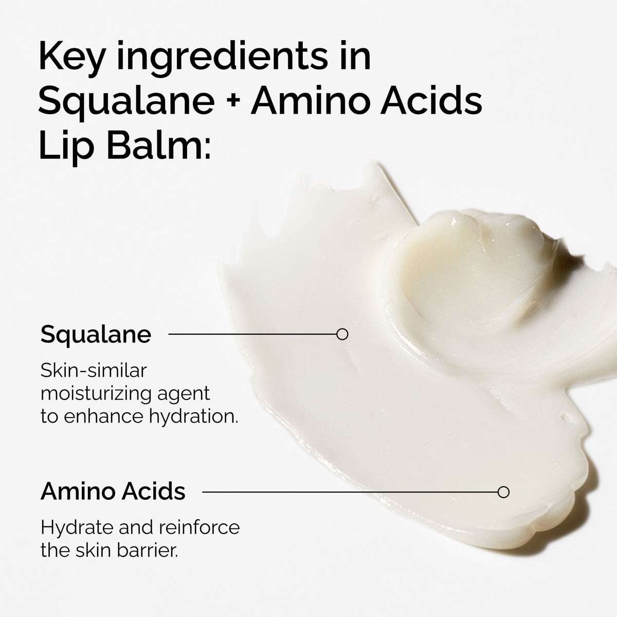 squalane-amino-acids-lip-balm-v3 FY25-D41247-ORD-Web-PDP-Sql-Amino-Lip-1x1-EN-2a.jpg