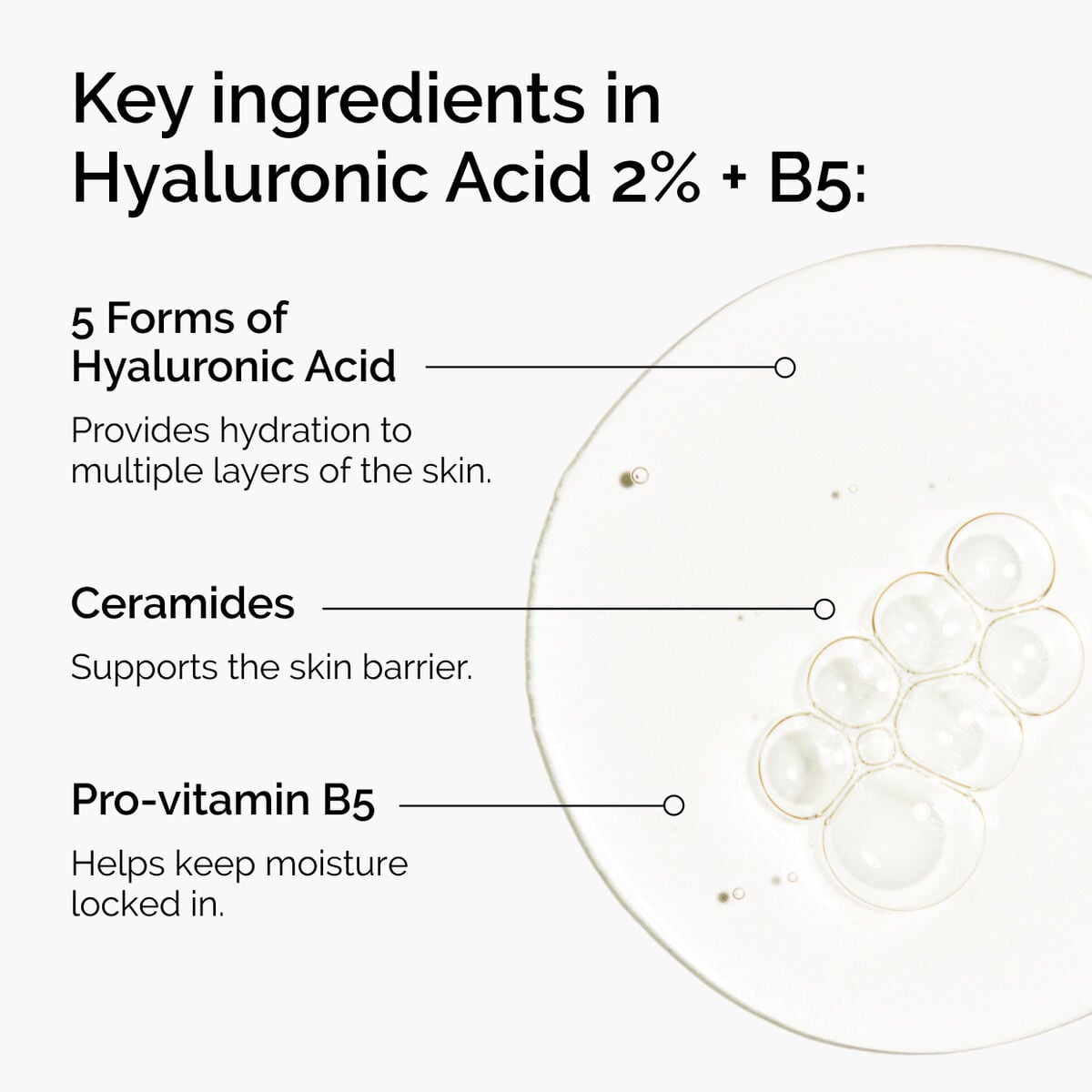 hyaluronic-acid-2-b5-with-ceramides-u1 ord-hyaluronic-acid-2pct-b5-hydrating-serum-ingredients-graphic.jpg